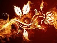 pic for Fire Leaves Art 